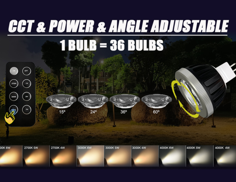 cct power angle mr16